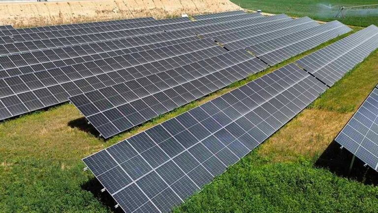 Filas de paneles solares sobre la hierba de una planta fotovoltaica, vistas desde lo alto